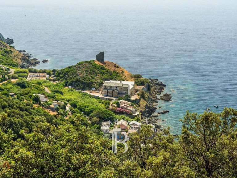 Maison avec Vue sur mer Pino - 7 chambres - 300m²