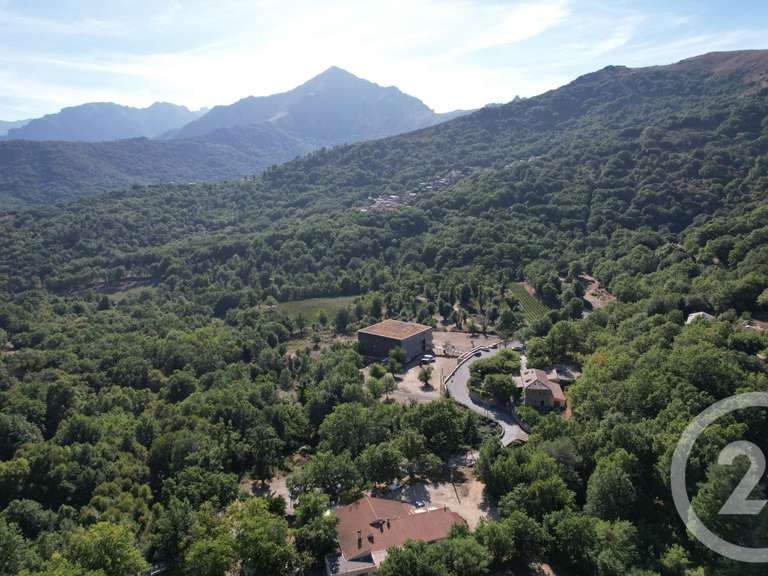 Maison Pioggiola - 5 chambres - 416m²