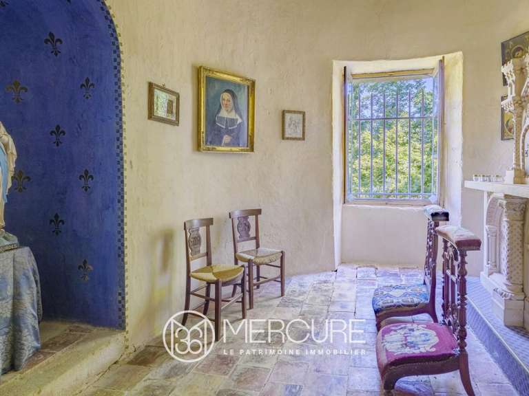 Castle Plaigne - 12 bedrooms - 1000m²