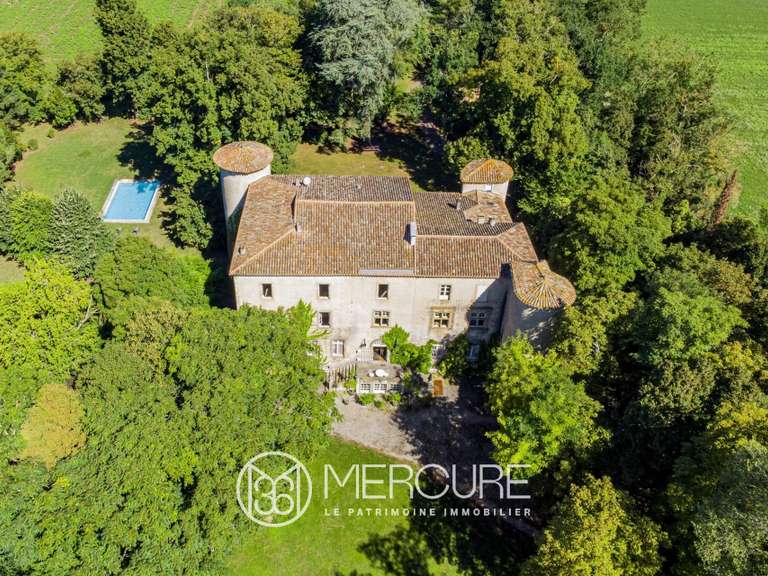 Castle Plaigne - 12 bedrooms - 1000m²
