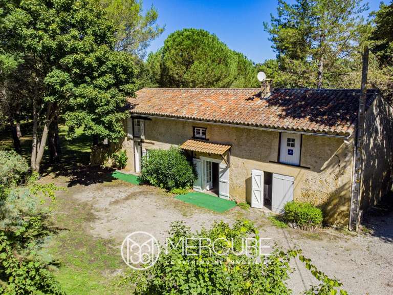 Castle Plaigne - 12 bedrooms - 1000m²