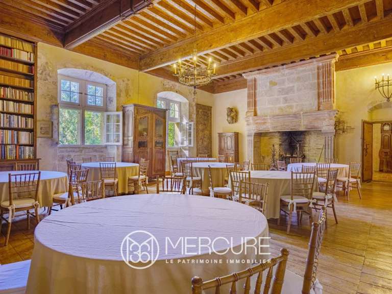 Castle Plaigne - 12 bedrooms - 1000m²