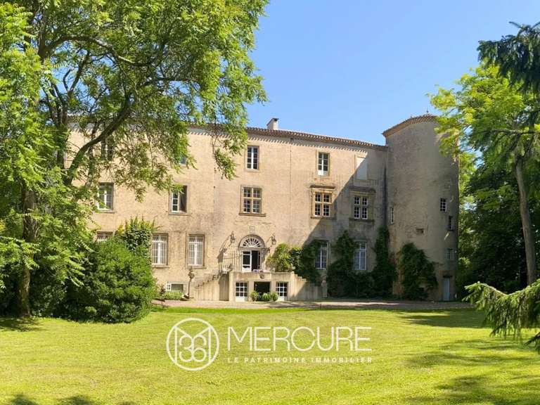 Castle Plaigne - 12 bedrooms - 1000m²