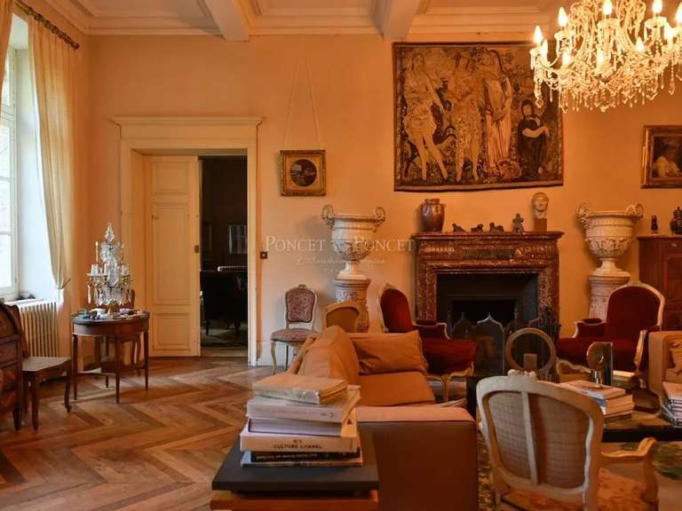 Castle Plaigne - 16 bedrooms - 900m²
