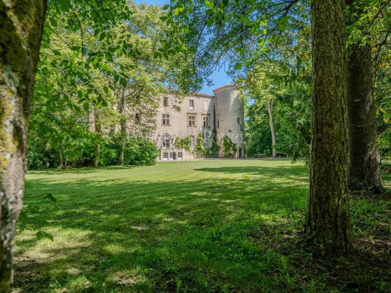 Castle Plaigne - 16 bedrooms - 900m²