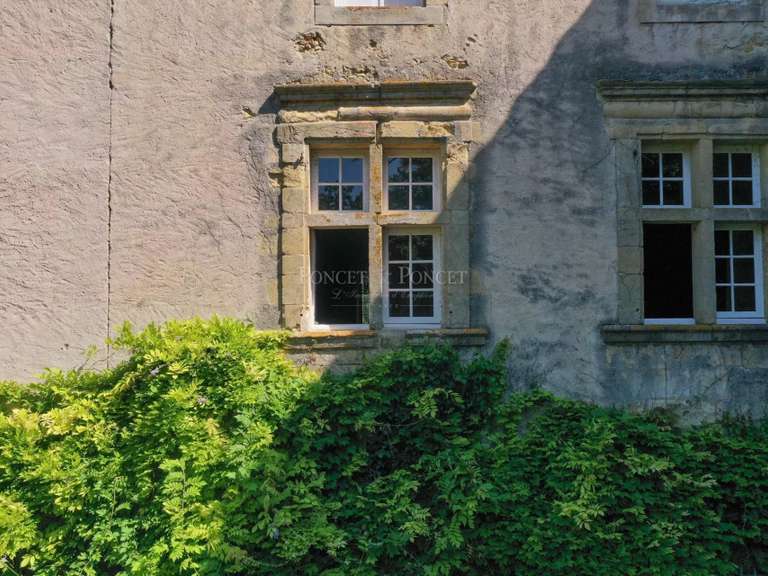 Castle Plaigne - 16 bedrooms - 900m²