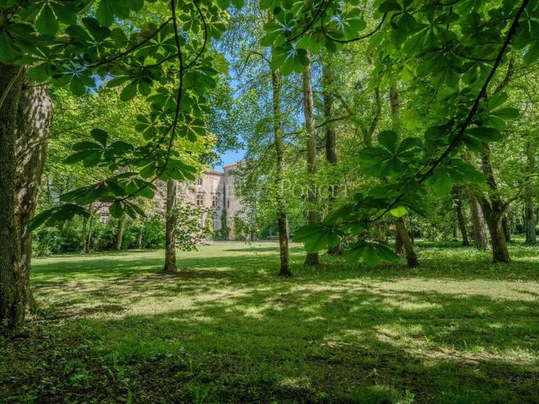 Castle Plaigne - 16 bedrooms - 900m²