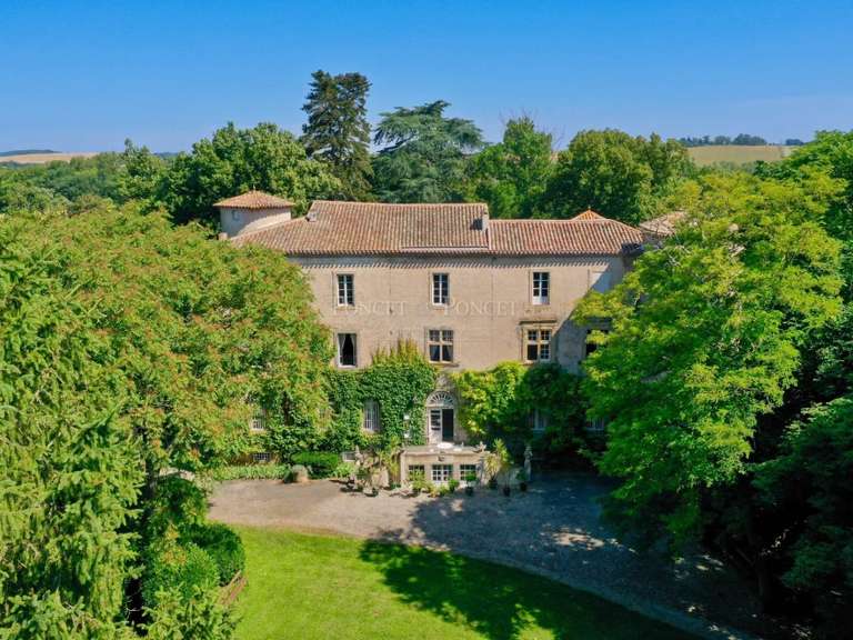 Castle Plaigne - 16 bedrooms - 900m²