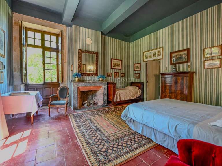 Castle Plaigne - 16 bedrooms - 900m²