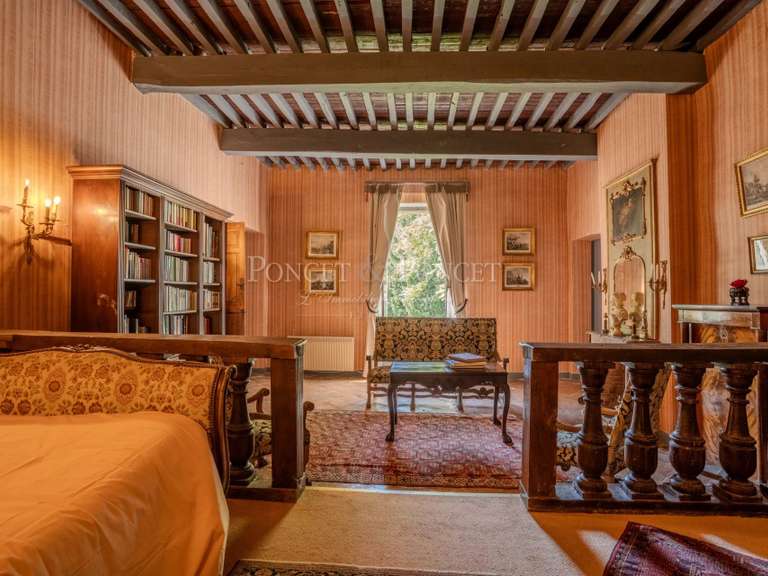 Castle Plaigne - 16 bedrooms - 900m²