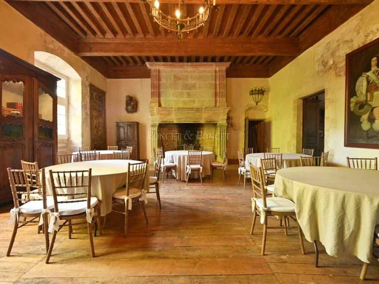 Castle Plaigne - 16 bedrooms - 900m²