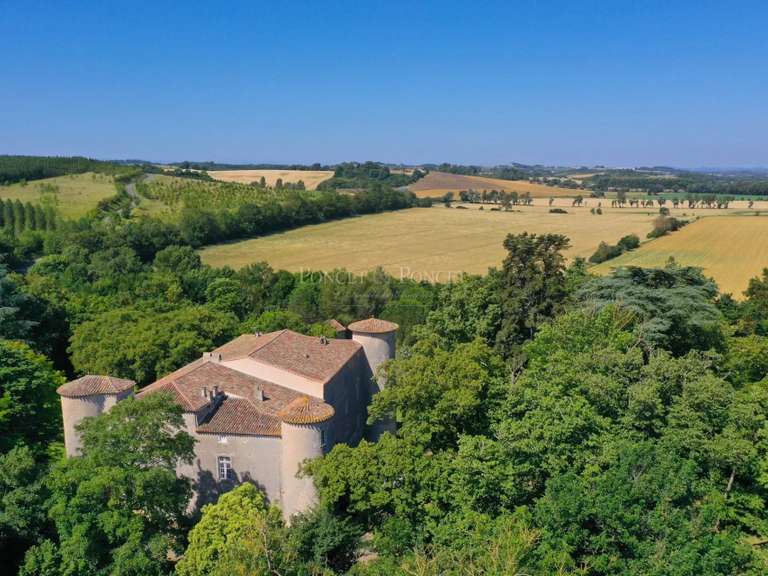 Castle Plaigne - 16 bedrooms - 900m²