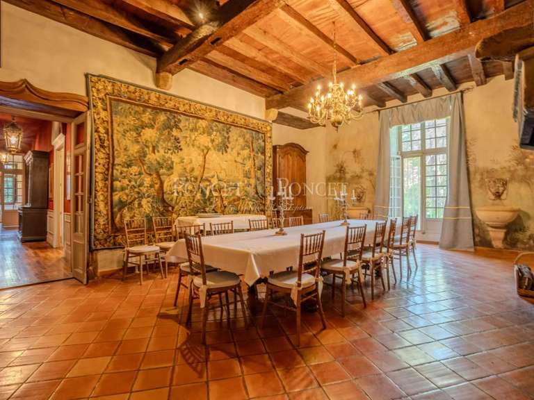 Château Plaigne - 16 chambres - 900m²