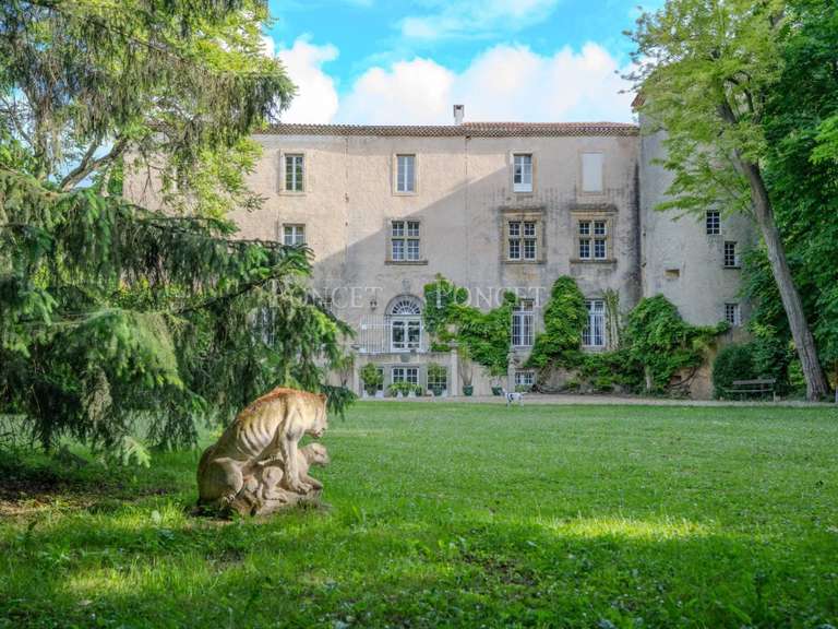 Château Plaigne - 16 chambres - 900m²