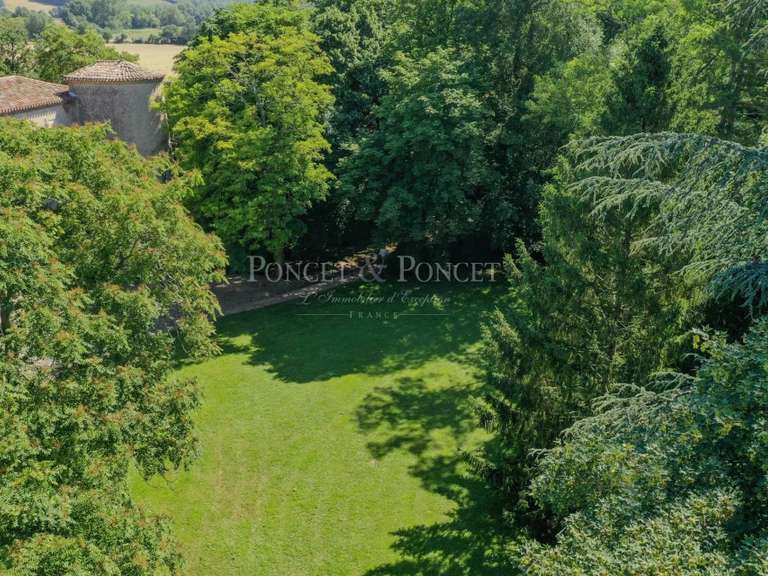 Château Plaigne - 16 chambres - 900m²