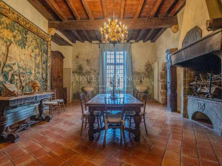 Château Plaigne - 16 chambres - 900m²