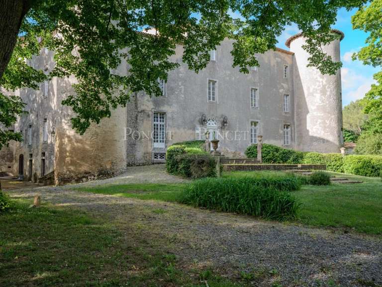 Château Plaigne - 16 chambres - 900m²