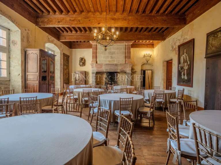 Château Plaigne - 16 chambres - 900m²