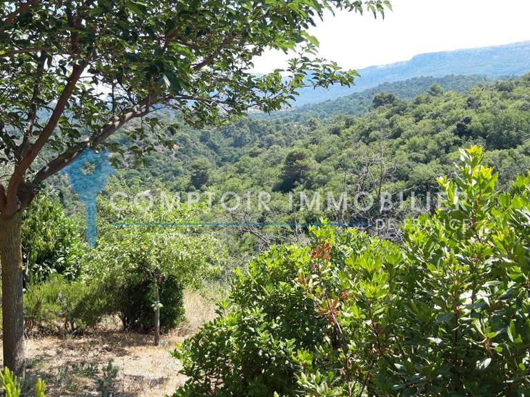 Maison Plan-d'Aups-Sainte-Baume - 3 chambres - 170m²