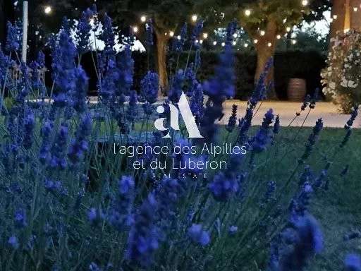 House Plan-d'Orgon - 5 bedrooms - 10000m²