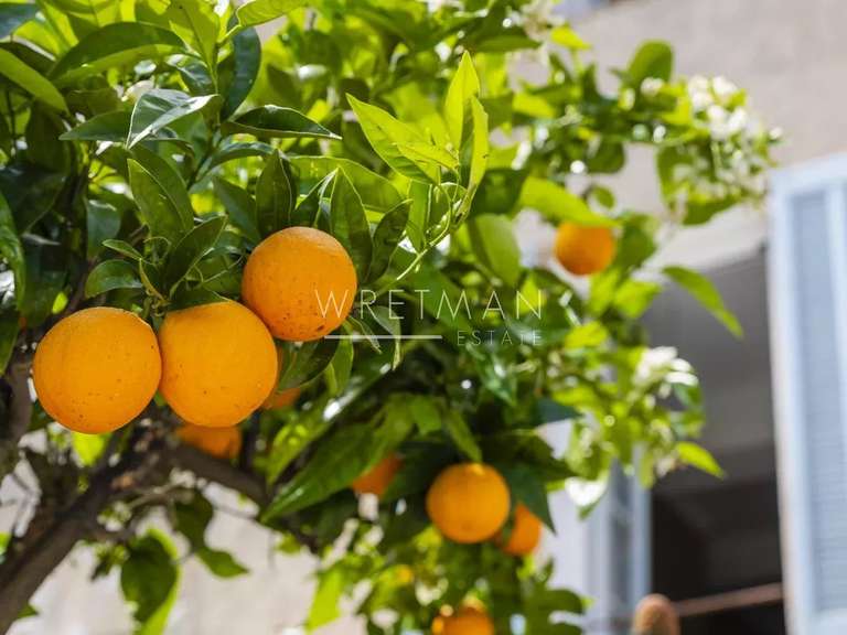 House Plan-de-la-Tour - 3 bedrooms - 195m²