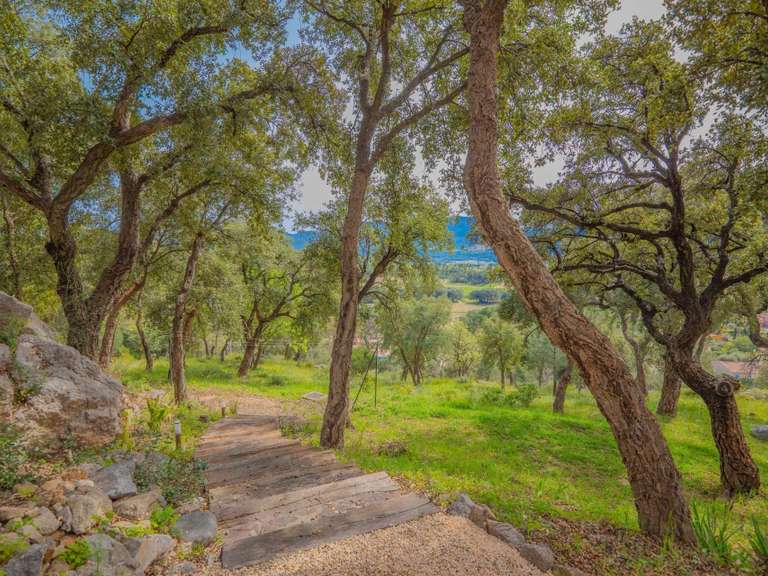 Villa Plan-de-la-Tour - 5 chambres - 280m²