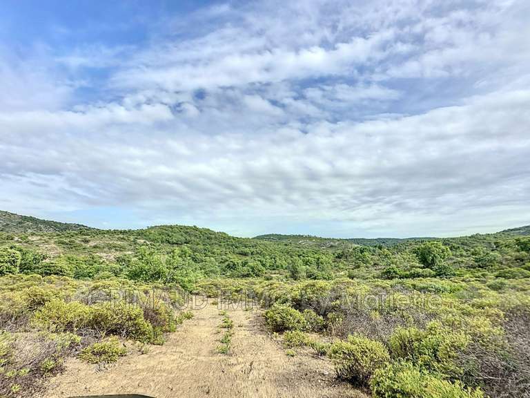 Villa Plan-de-la-Tour - 6 chambres - 450m²