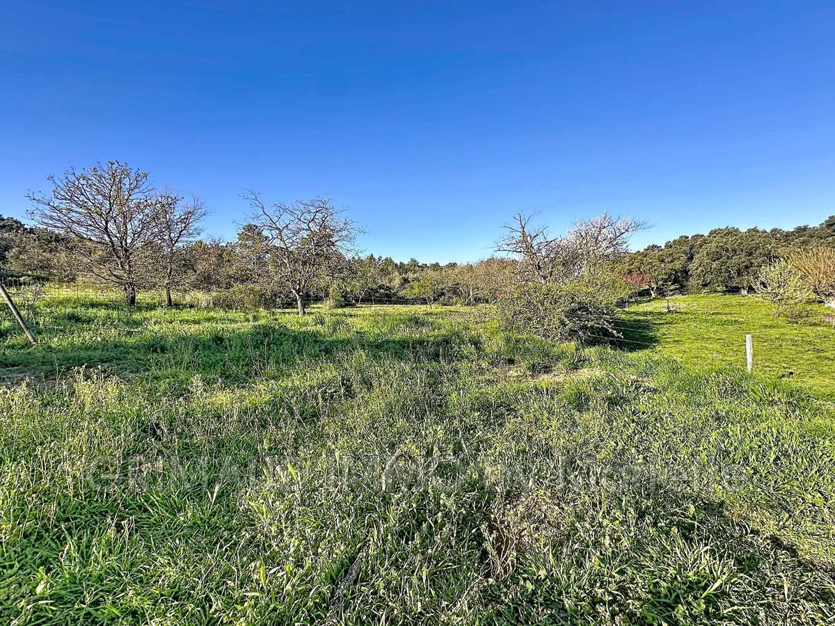 Villa Plan-de-la-Tour