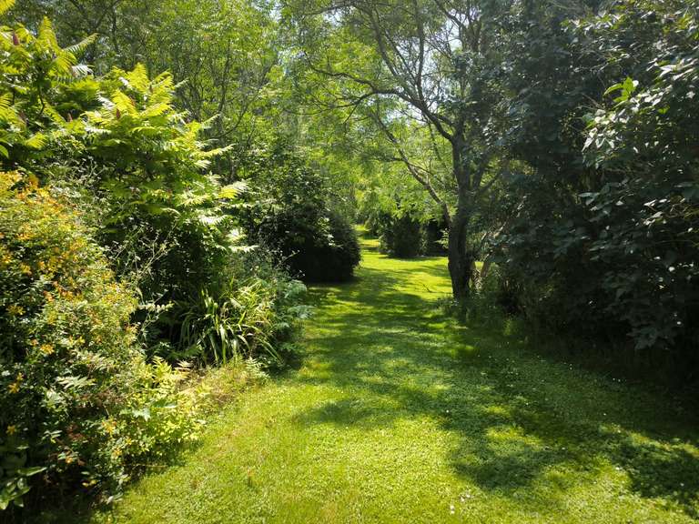 Maison Plavilla - 8 chambres - 308m²