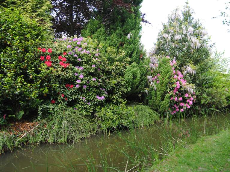 Maison Pleurtuit - 7 chambres - 323m²