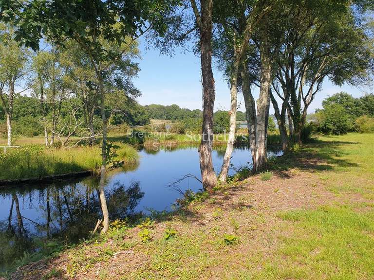 Maison Plomelin - 5 chambres - 150m²