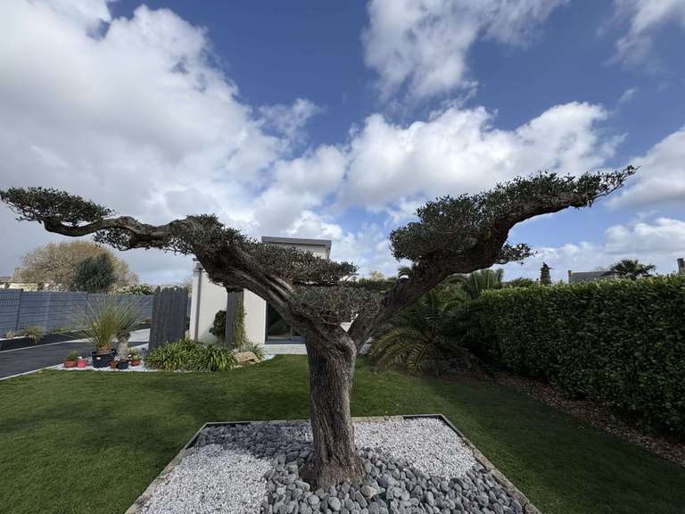 House Plonéour-Lanvern - 3 bedrooms