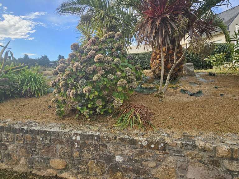 House with Sea view Ploubazlanec - 177m²