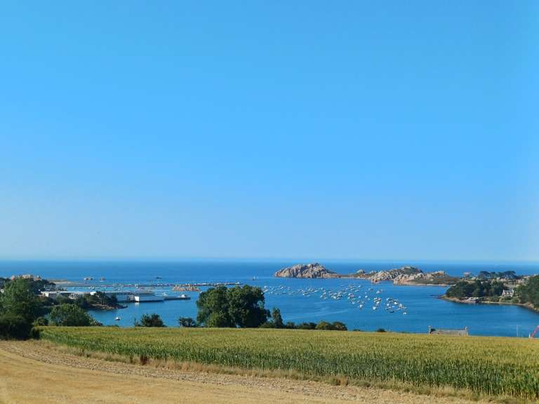 Maison avec Vue sur mer Plougasnou - 5 chambres - 187m²