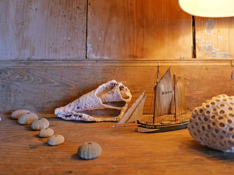 House with Sea view Plouhinec - 4 bedrooms