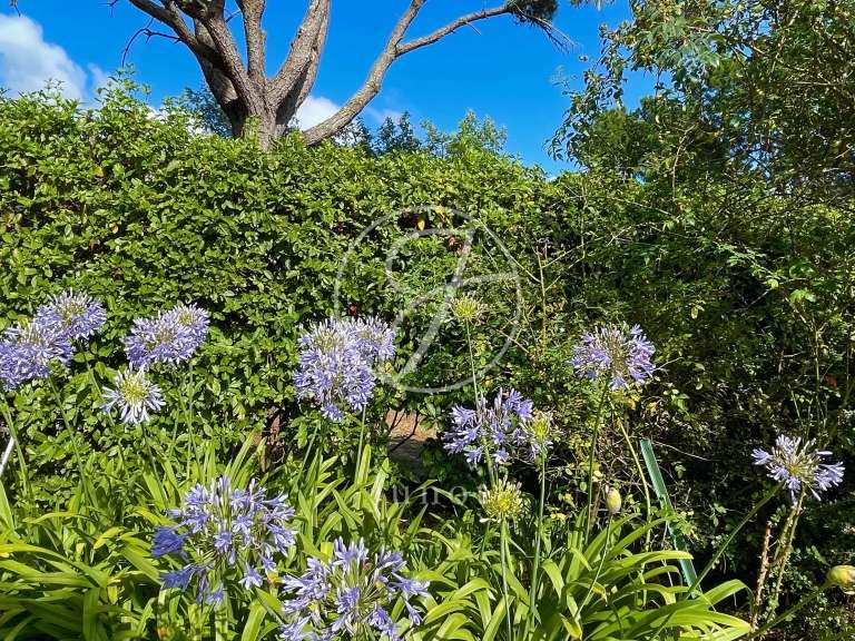 Maison avec Vue sur mer Plouhinec - 8 chambres - 250m²