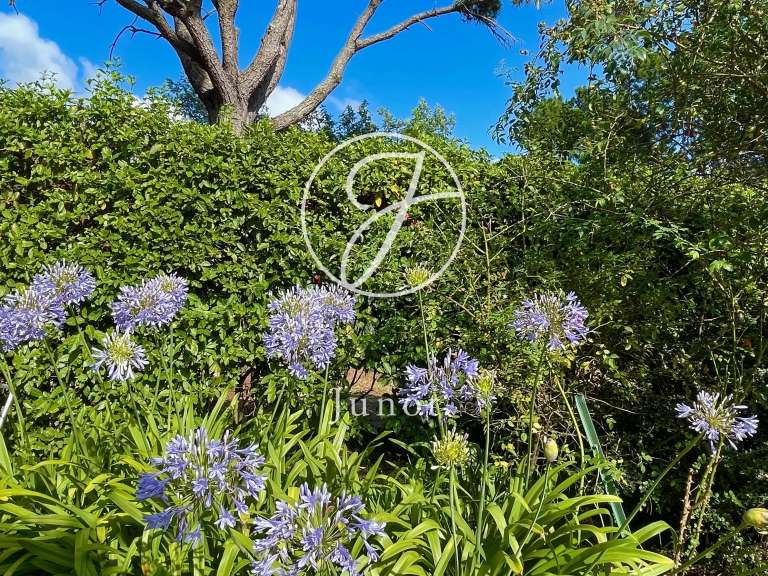 House with Sea view Plouhinec - 8 bedrooms - 250m²