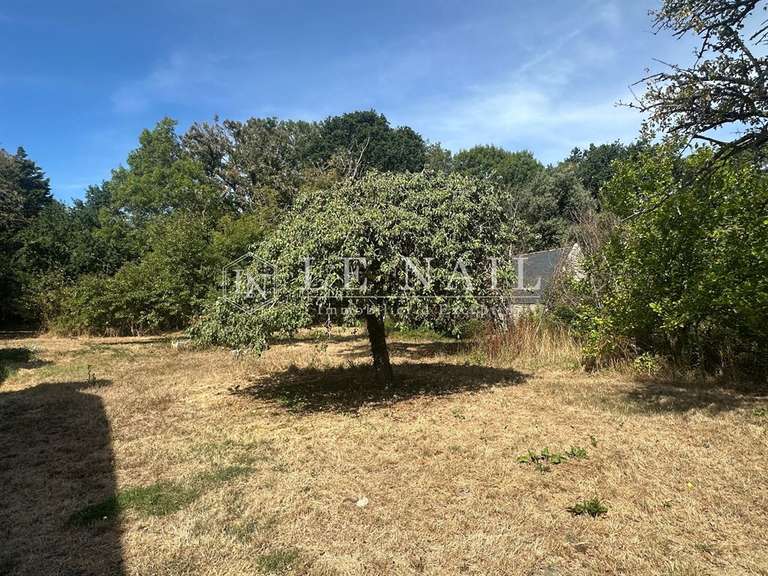 Maison Plouhinec - 3 chambres - 230m²