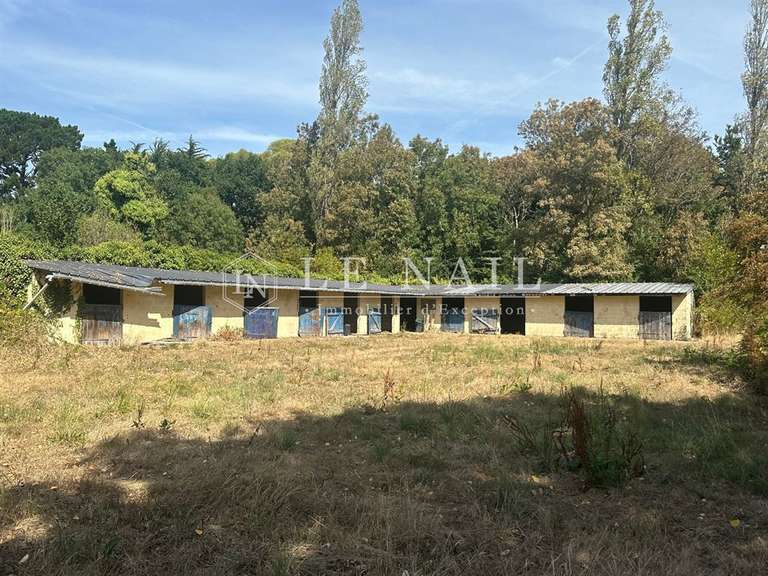 Maison Plouhinec - 3 chambres - 230m²
