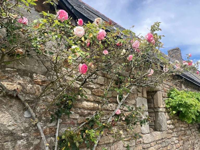 Maison Plumergat - 6 chambres