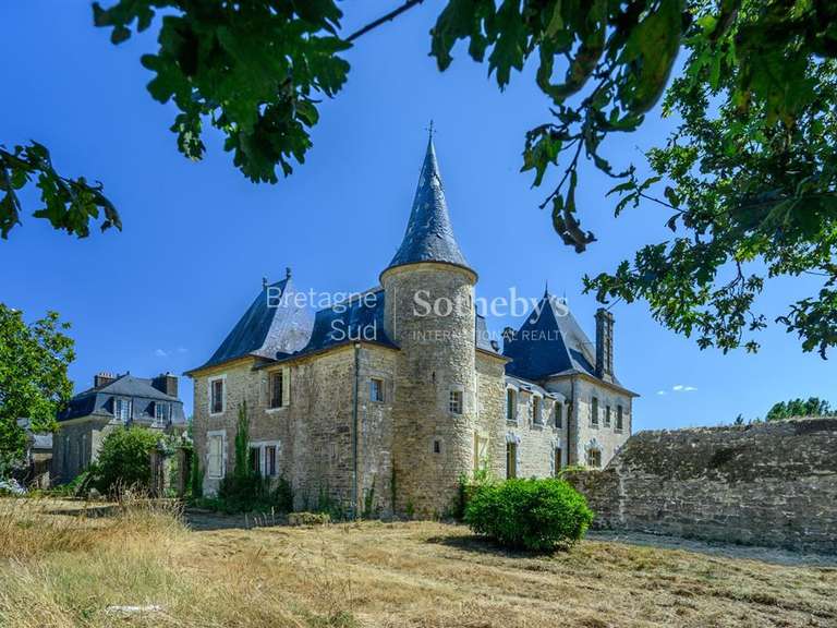 Manoir Pluneret - 700m²