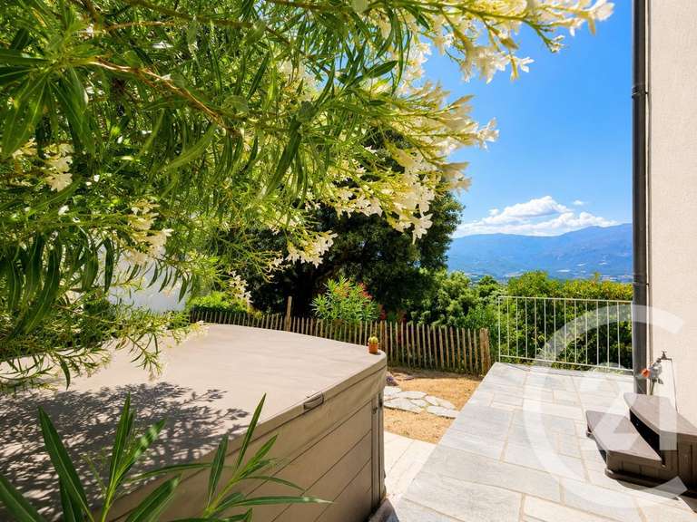 Maison Poggio-d'Oletta - 3 chambres - 162m²