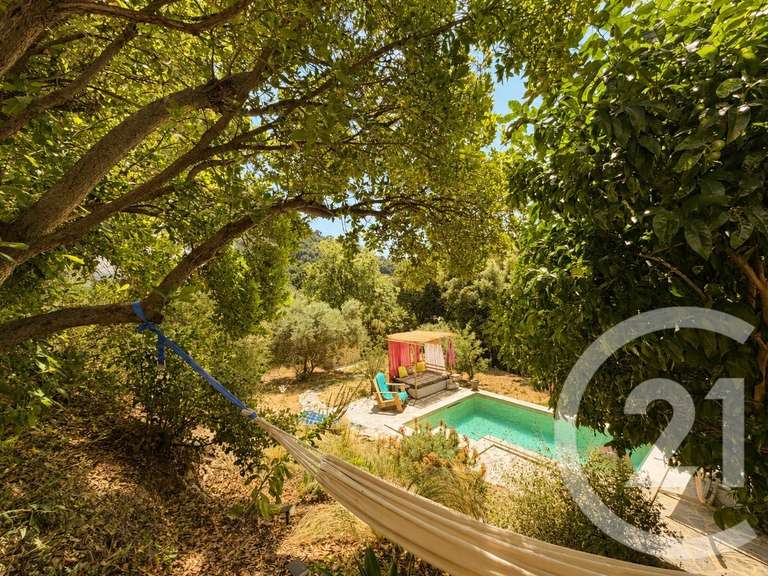 Maison Poggio-d'Oletta - 3 chambres - 162m²