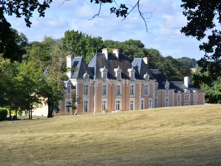 Château Poitiers - 12 chambres - 600m²