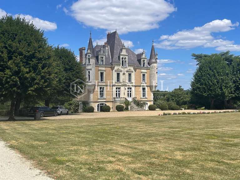 Château Poitiers - 6 chambres - 520m²
