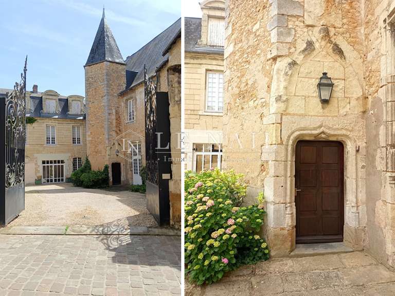 Mansion Poitiers - 7 bedrooms - 350m²