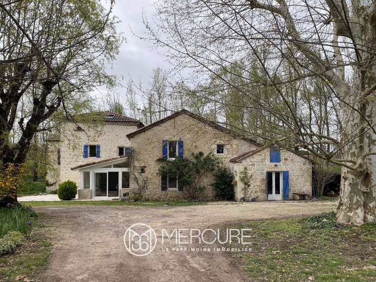 Maison Pont-du-Casse - 5 chambres - 276m²