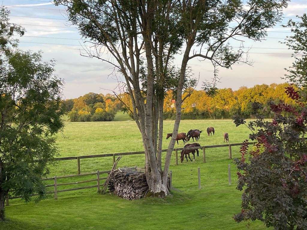 Maison Pont-l'Évêque