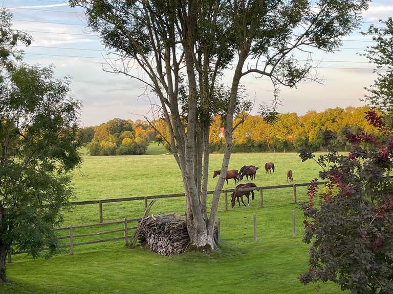 Maison Pont-l'Évêque - 3 chambres - 170m²