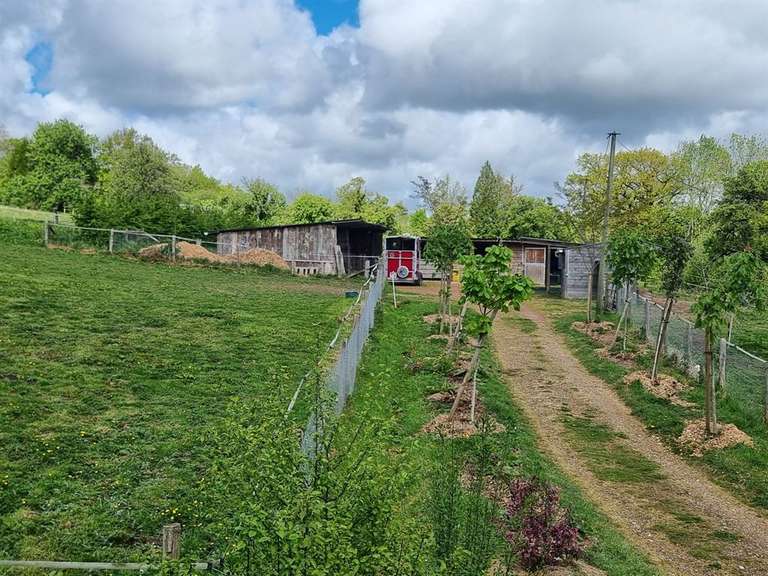 Propriété Pont-l'Évêque - 7 chambres - 282m²